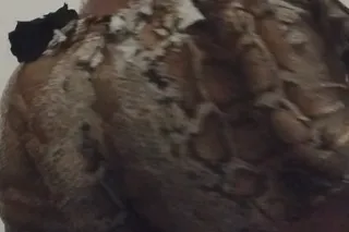 Come get a taste of honey 🍯💦 - Image 2