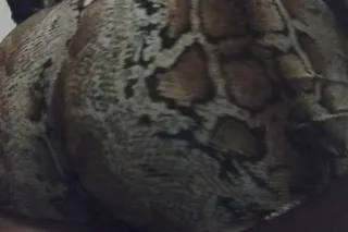 Come get a taste of honey 🍯💦 - Image 4