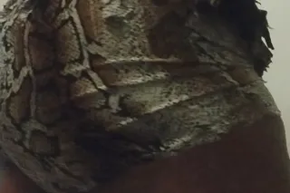 Come get a taste of honey 🍯💦 - Image 1